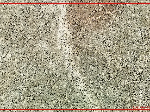 6622 S Prairie Grass Ln - Photo 1