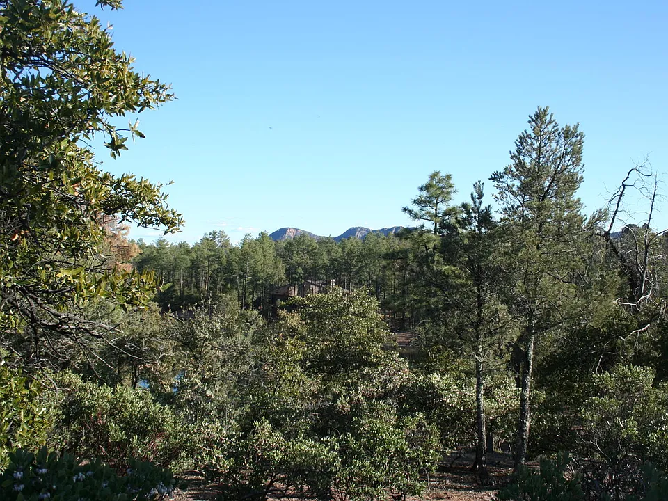 705 N Snowberry Cir - Photo 1